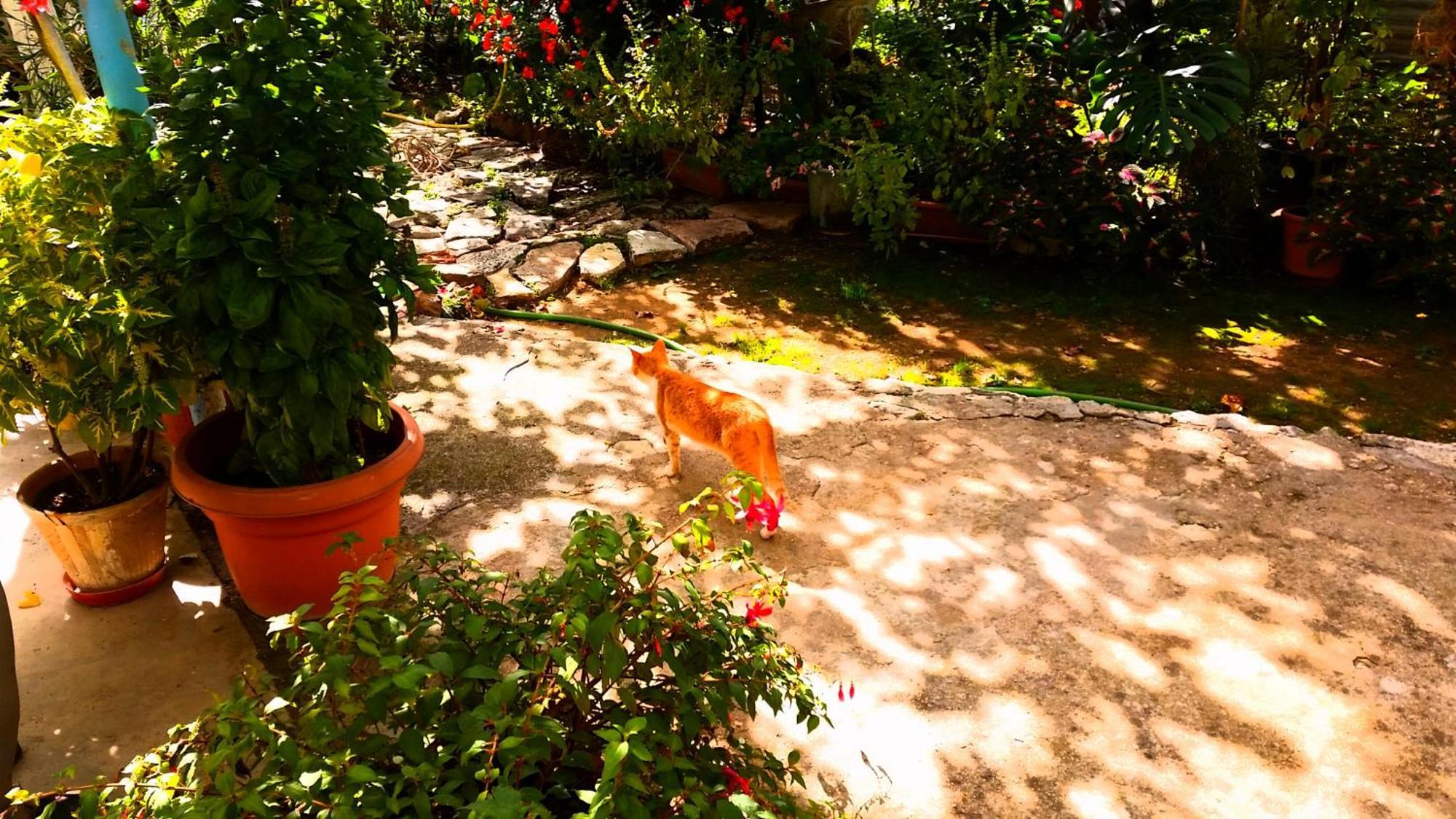 The Grandfather'S Room Himare Luaran gambar